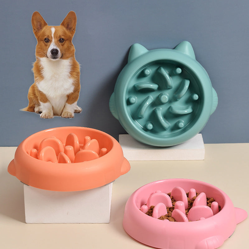 Enhance Your Pet's Eating Experience with the Anti-Choking Slow Feeder Dog Cat Bowl Plate